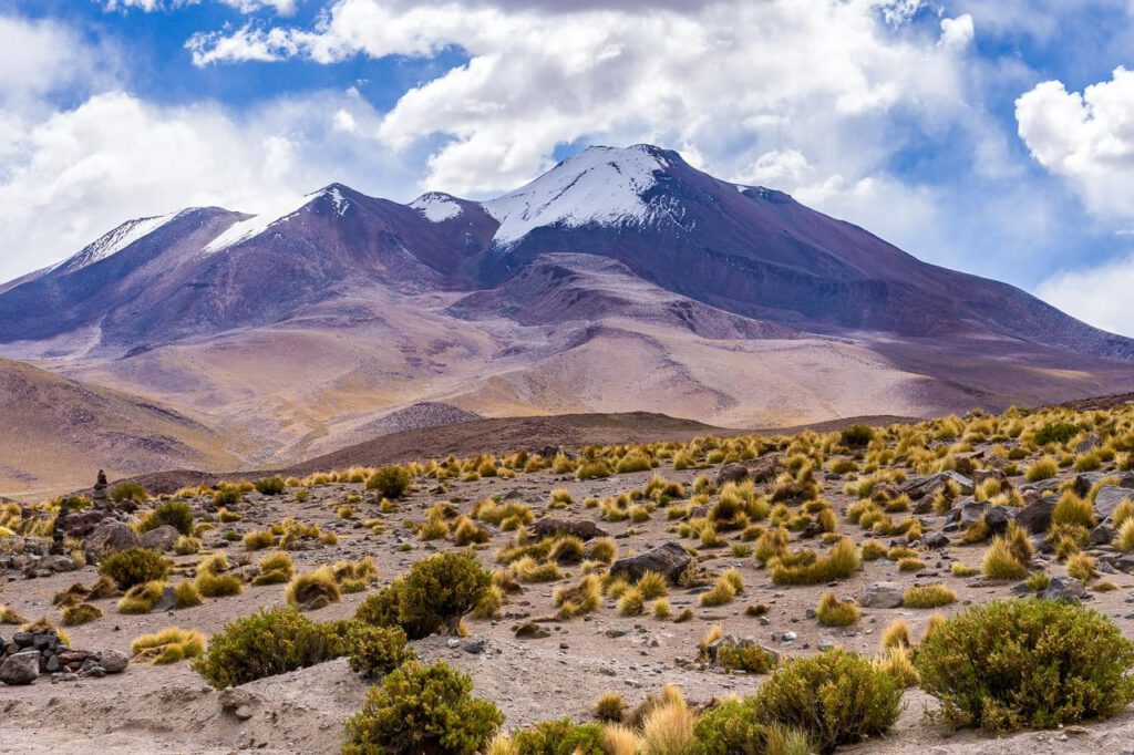 Laguna Canapa Altiplano Bolivia Landscape Nature and Urban Photography